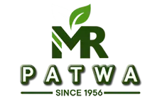 My Website